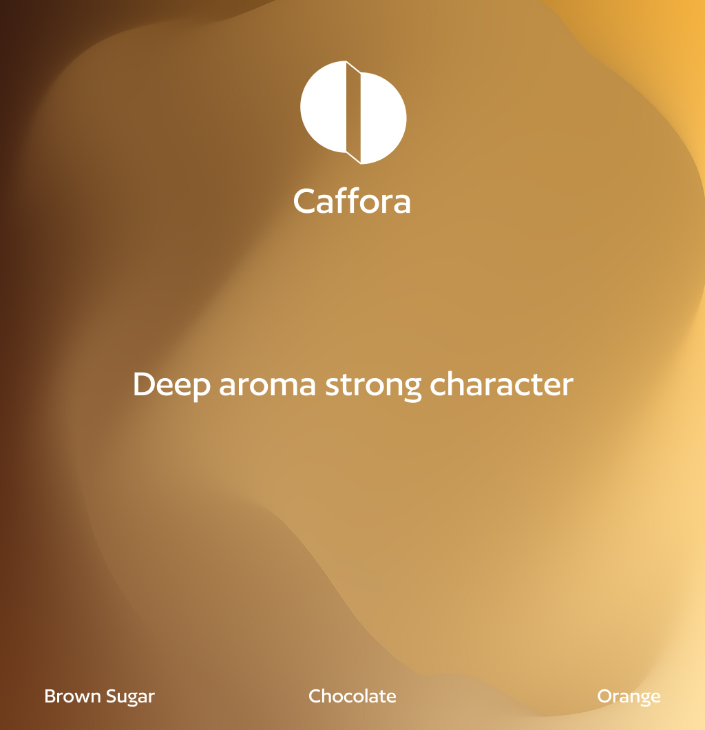Aceh Gayo