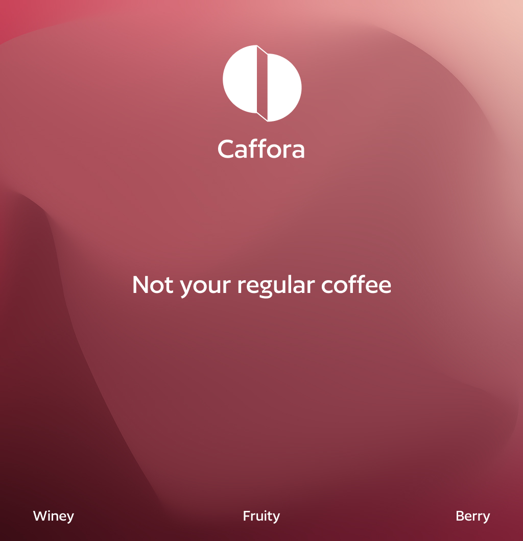 Aceh Gayo